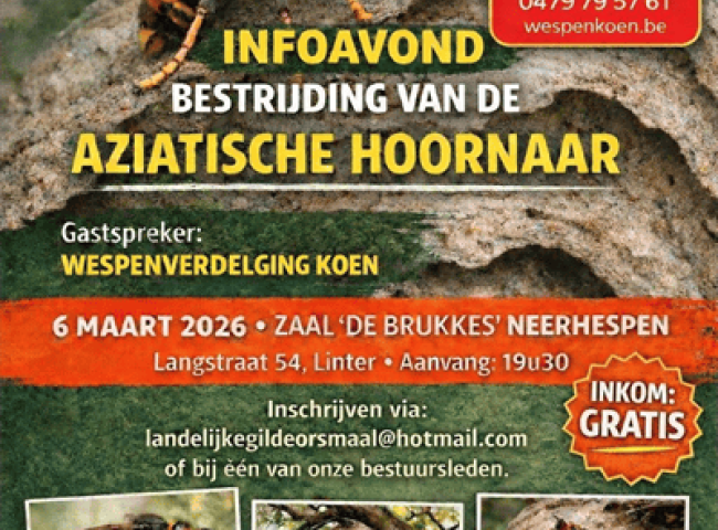 Info avond rond de bestrijding van de Aziatische hoornaar © Landelijke gilden