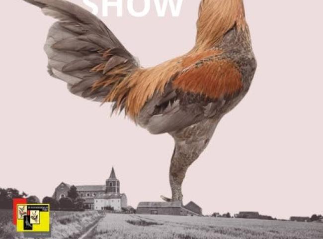 Internationale Vechthoendershow © Vechthoenderclub België