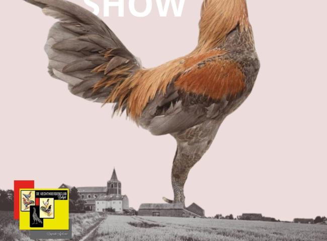 Internationale Vechthoendershow © De Vechthoenderclub België