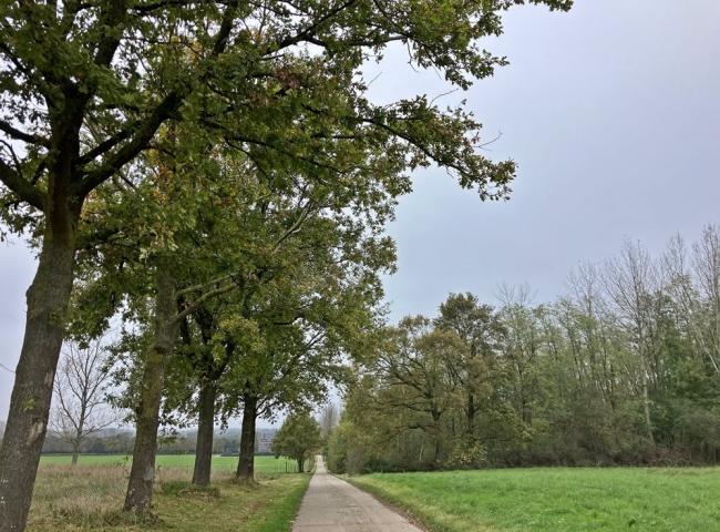 9de Streekwandeling Hagelandgidsen: Melkwezer (Linter) © Hagelandgidsen
