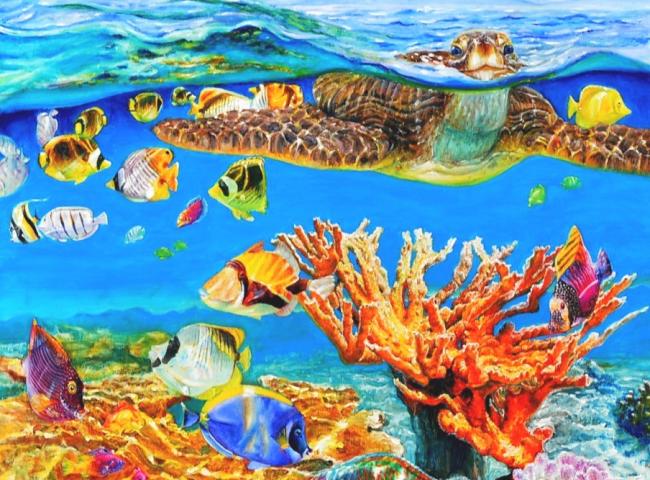 Split image van een zeeschildpad © Vera L.P. Cauwenberghs