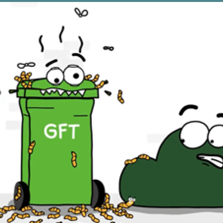 gft