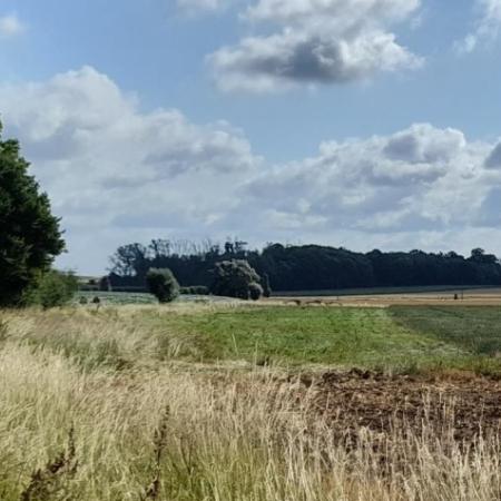wissenbos