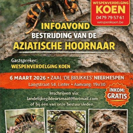 Info avond rond de bestrijding van de Aziatische hoornaar © Landelijke gilden