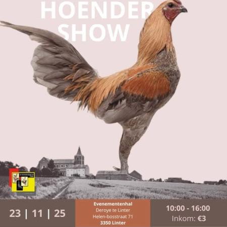 Internationale Vechthoendershow © Vechthoenderclub België Internationale Vechthoendershow © Vechthoenderclub België