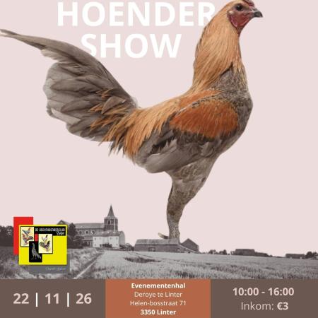 Internationale Vechthoendershow © De Vechthoenderclub België
